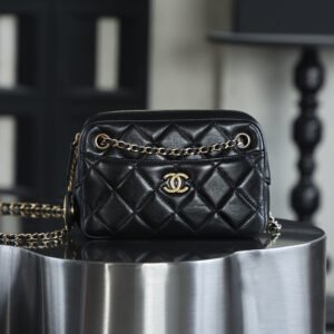 24K Gold Coin Camera Bag Small Authentication Edition C-1780